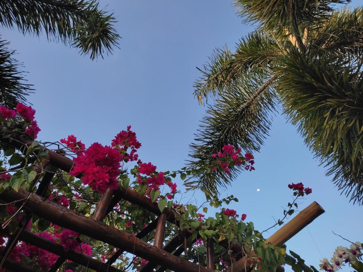 Olana Bed And Breakfast Labrador Ngoại thất bức ảnh