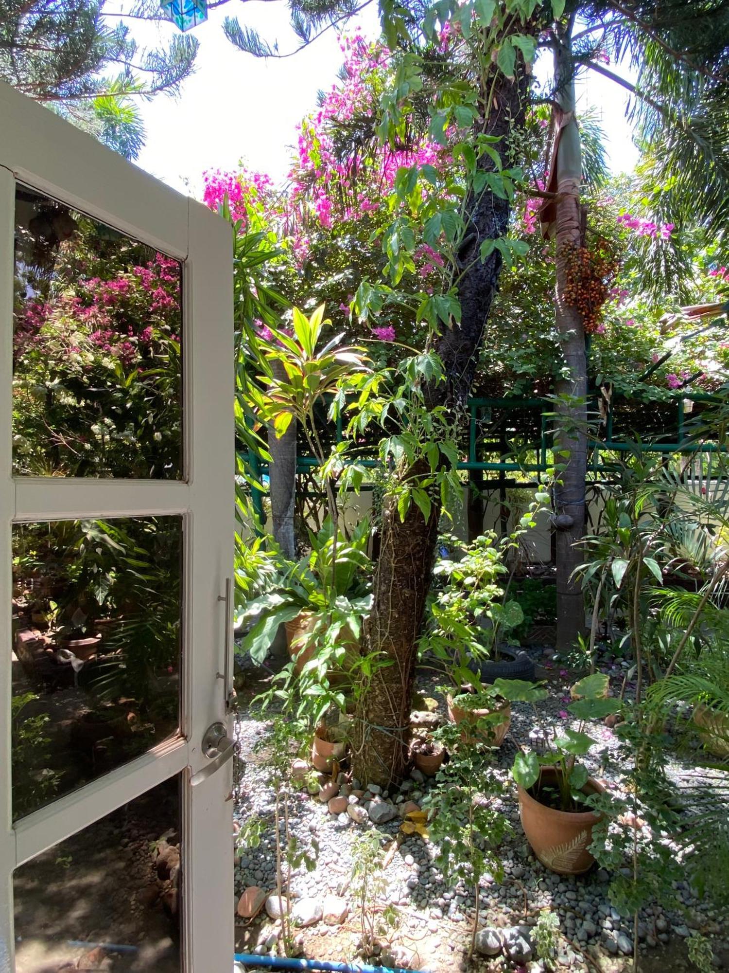 Olana Bed And Breakfast Labrador Ngoại thất bức ảnh