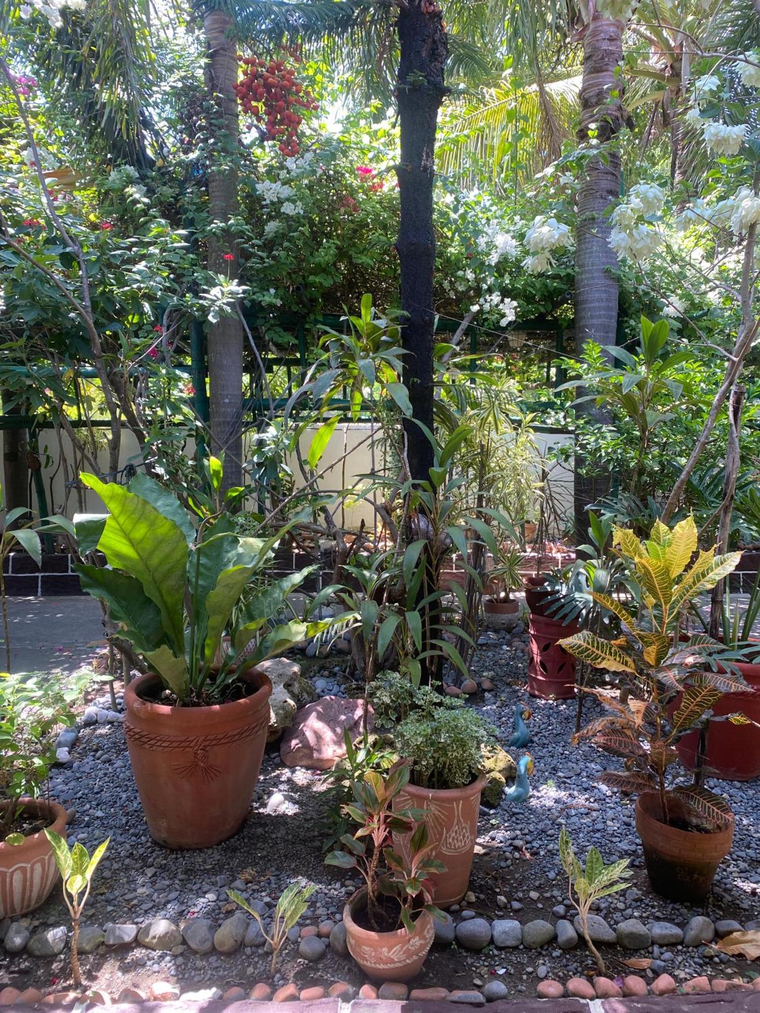 Olana Bed And Breakfast Labrador Ngoại thất bức ảnh